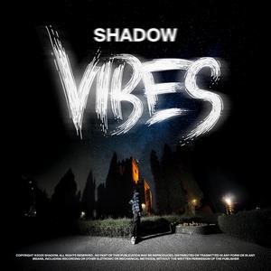 VIBES (Explicit)