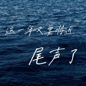 这一年又要接近尾声了