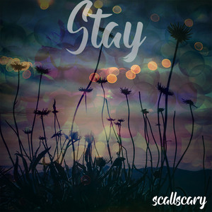 Stay