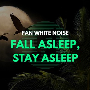 Fan White Noise Fall Asleep, Stay Asleep