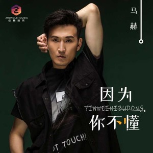 因为你不懂 (DJ沈念版)