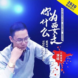 你为什么要走