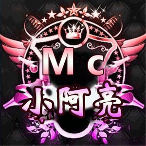 当年一首另类曲 (DJ版)