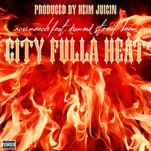 City Fulla Heat (Explicit)