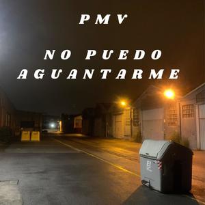NO PUEDO AGUANTARME (Explicit)