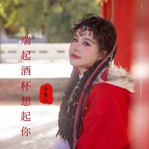 杜蓉儿 - 端起酒杯想起你