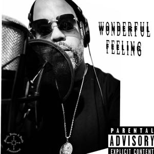 Wonderful Feeling (Explicit)