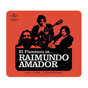 Flamenco es... Raimundo Amador