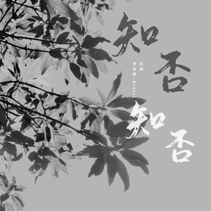 知否知否
