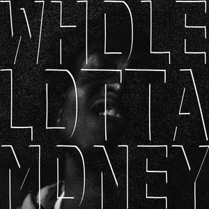 WHOLE LOTTA MONEY (Explicit)