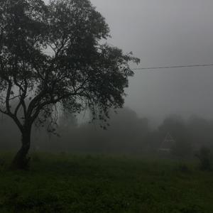 Entre los pinos (Explicit)