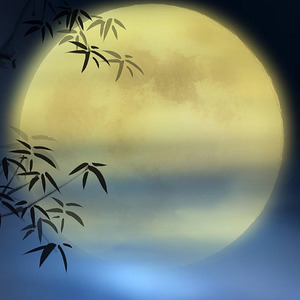 十五的月亮十六元