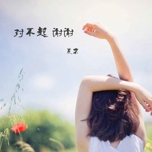对不起 谢谢封面