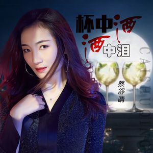 杯中酒酒中泪 (DJ何鹏版)