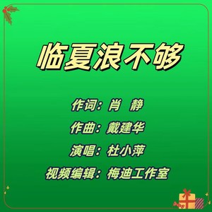 临夏浪不够 (伴奏)