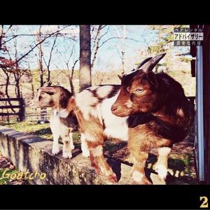 out 2da bag (Explicit)