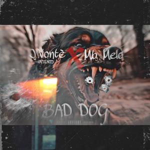 Bad Dog Freestyle (Explicit)