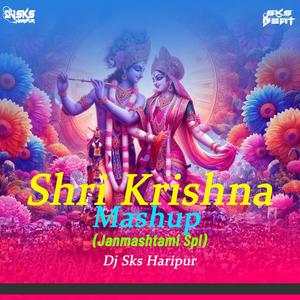 Shir Krishna (Janmashtami Mashup 2024)