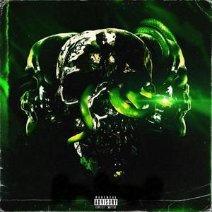 2 HEADED SNAKE (Explicit)