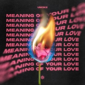 Meaning of Your Love