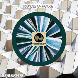 Bundle Of House