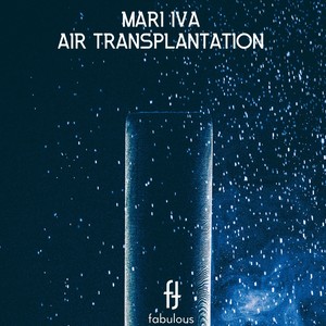 Air Transplantation (Original Mix)
