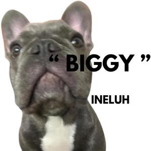 BIGGY (feat. BIGGY)
