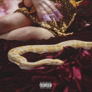 Like a Shooter (Explicit)