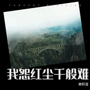 我怨红尘千般难