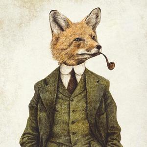 Cunning (The Fox)