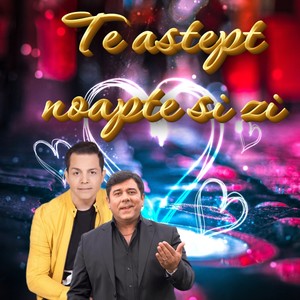 Te astept noapte si zi