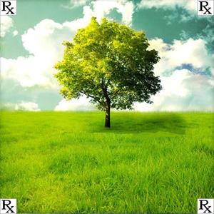 Ratchet(feat. City Heat) (Explicit)