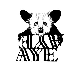 Aye Aye