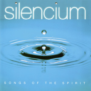Silencium - Music of Inner Peace - Harle: Silencium - Music of Inner Peace: 10. Vices and Virtues