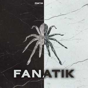Fanati̇k