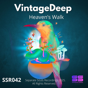 VintageDeep - Heaven's Walk (Original Mix)