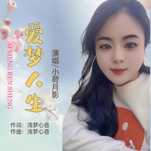 爱梦人生 (女声版伴奏)