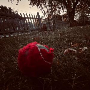 Blue Door Sound Lab, Studio A (week 43)