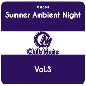 Summer Ambient Night, Vol. 3