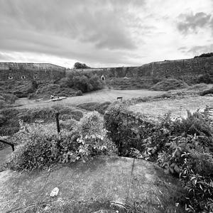 Hold On Me (Explicit)