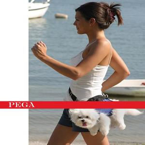 pega (feat. Yung Jara, Rojo Minaj & Ka$h Karda$hian) (Explicit)