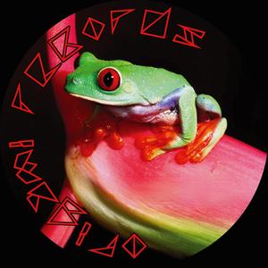 Origami 02 - Tree Frog E.P.