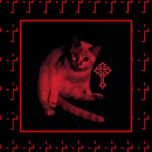 LETMY****INGBLADERIPHOE! (Explicit)