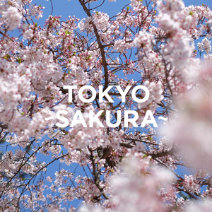 さくら (Sakura) (Dokushou)