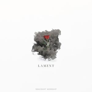 Lament (feat. Rachel Davis)