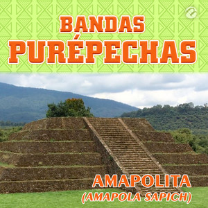 Amapolita(Amapola Sapich)