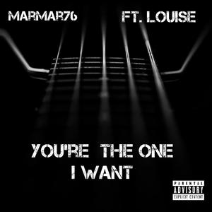 You're The One I Want (feat. LOUISE) [Explicit]