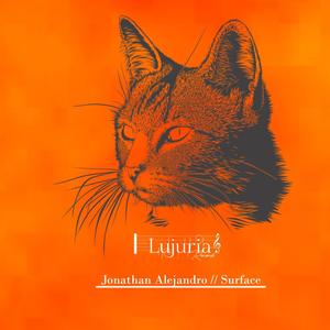 Surface (Original Mix)