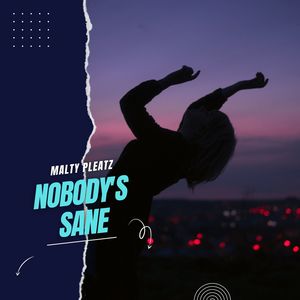 Nobody's Sane (Original Mix)