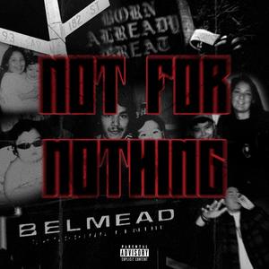 Not For Nothing (Explicit)